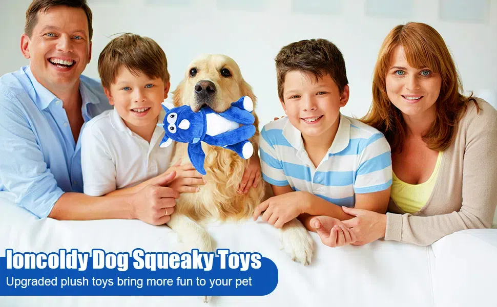 dog toys