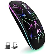 TaIYanG Wireless Mouse, 2.4G Portable Optical Quiet RGB Mouse with USB Receiver and Type C Adapte...