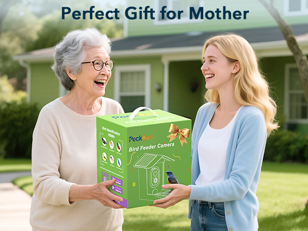 bird feeder camera wireless outdoor