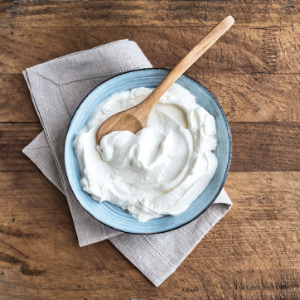 Euro Cuisine GY60 Greek Yogurt Maker - Strainer