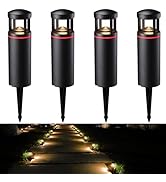 LEONLITE RGB Low Voltage Pathway Lights, 5W 12V AC/DC Path Lighting,Unique Light Pattern, Aluminu...