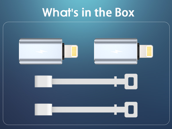 TechMatte USB C to Lightning Adapter