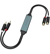 Ground Loop Noise Isolator, Amplifier Noise Filter RCA Audio Filter for Car Audio &amp; Home Stereo, ...