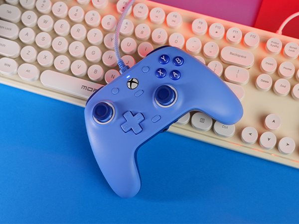 Blue Controller