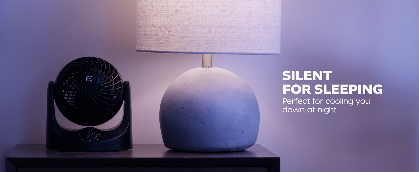 WOOZOO desk fan, mini table fan, portable, back to school, dorm, college, bedroom