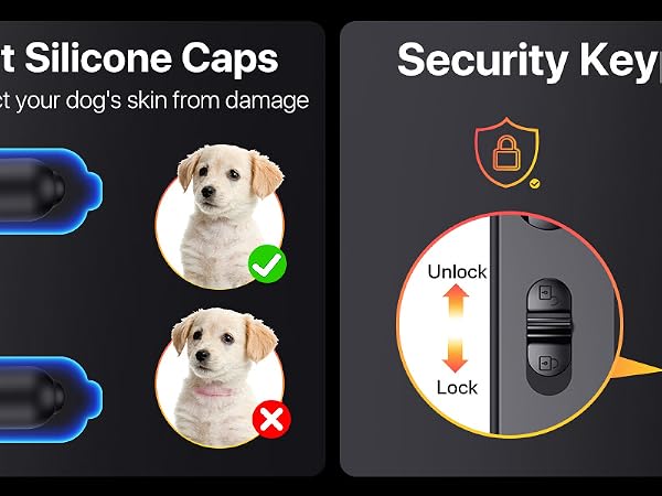 shock collar for dogs