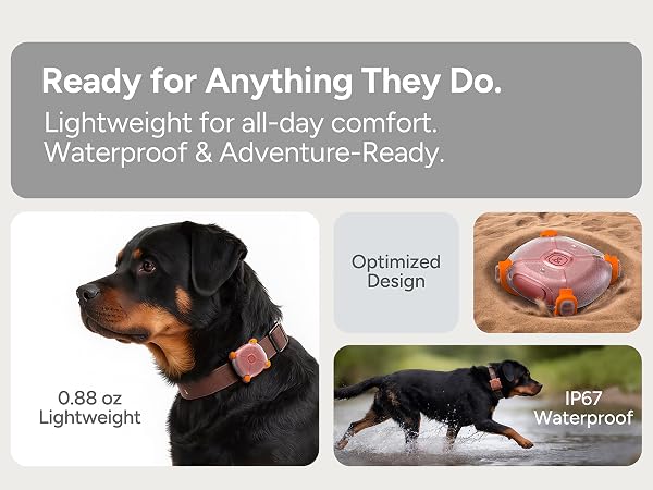 dog tracker