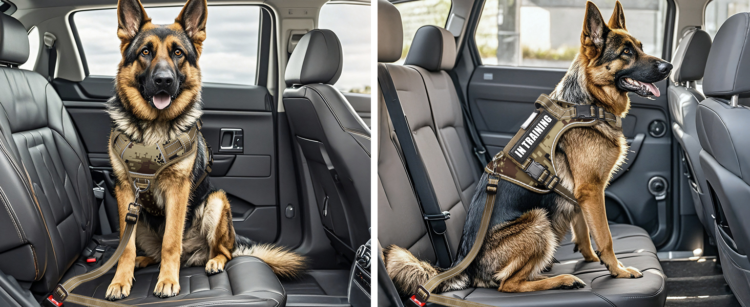 dog car harness b camo desert