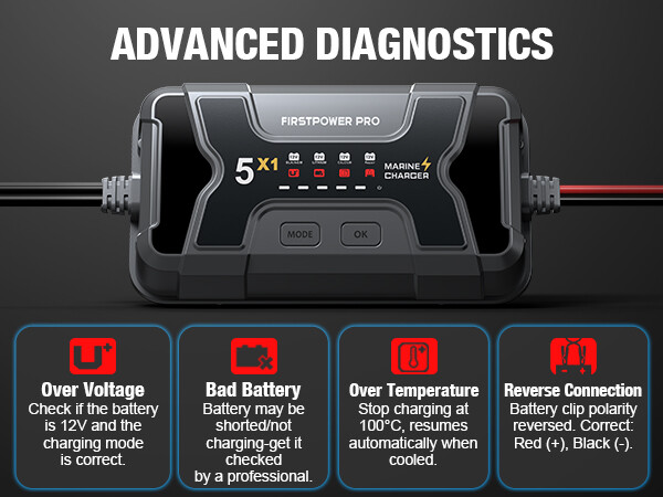 1 bank lifepo4 battery charger
