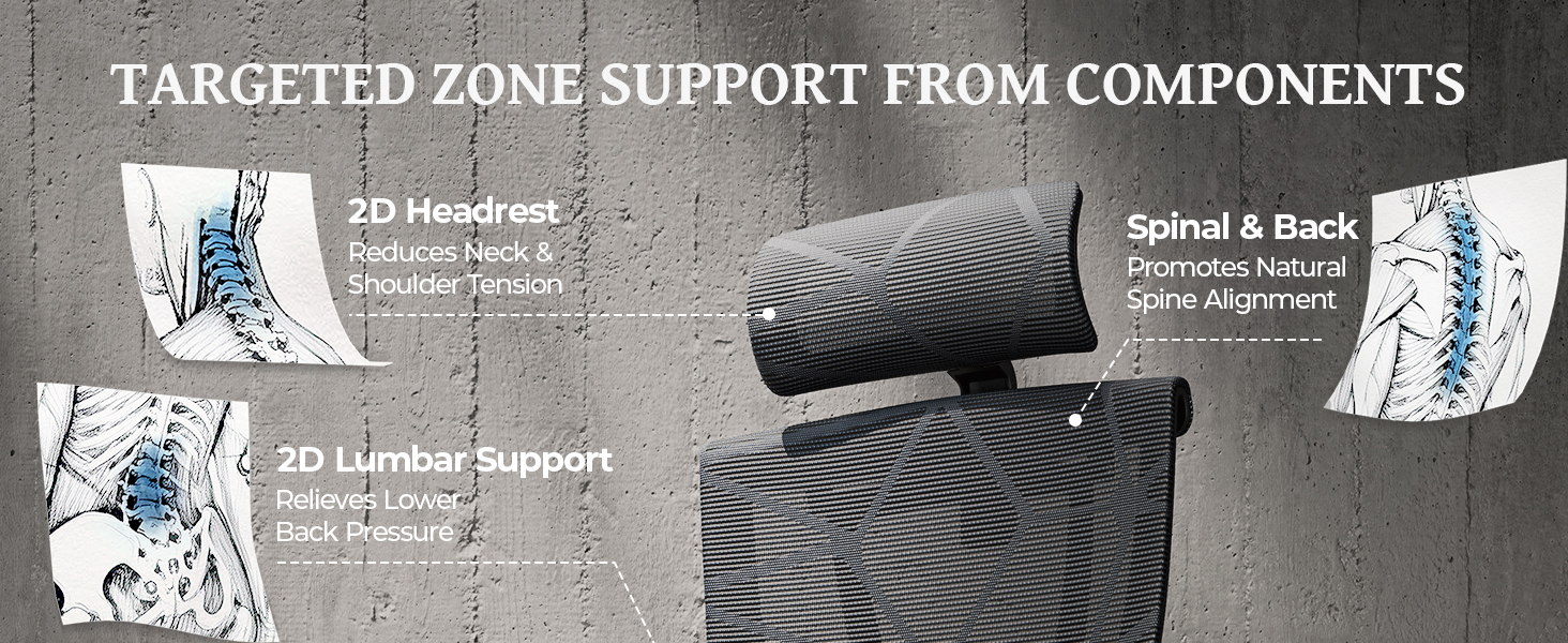ergonomic office chair