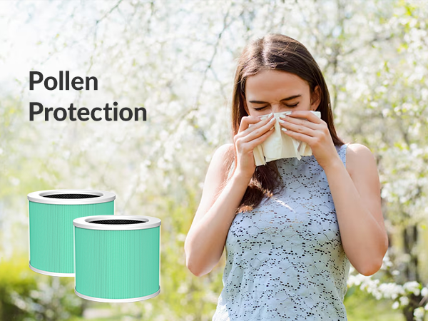 air purifiers for home