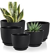 YNNICO Plant Pots 10/9/8/7.5/7 inch Set of 5,Flower Pots with Multi Mesh Drainage Holes, Large Pl...