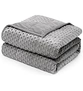 Wemore Minky Dot Weighted Blanket for Adults Queen Size 15 lbs, Soft Cozy Heavy Blanket for Stres...