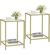 HOMSHO Side Tables Set of 2, End Table with Tempered Glass, 2-Tier Nightstands with Storage Shelv...
