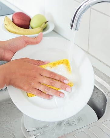 Husk Scrubber Sponges for Cleaning