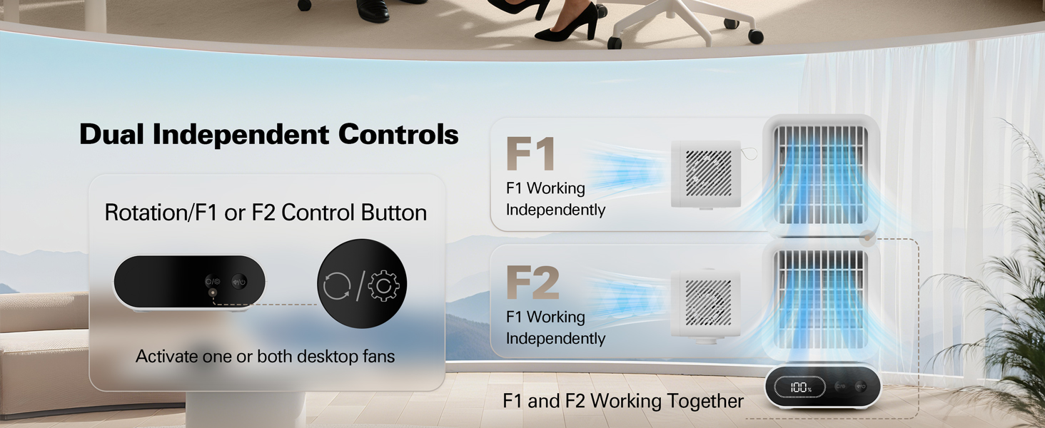 Dual Independent Controls