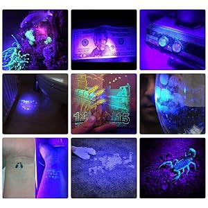 Powerful Multi-functional Application