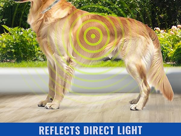 Dog Collar target area
