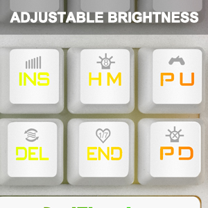 adjustable brightness