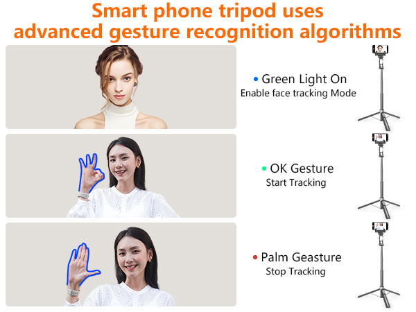 phone tripod with light