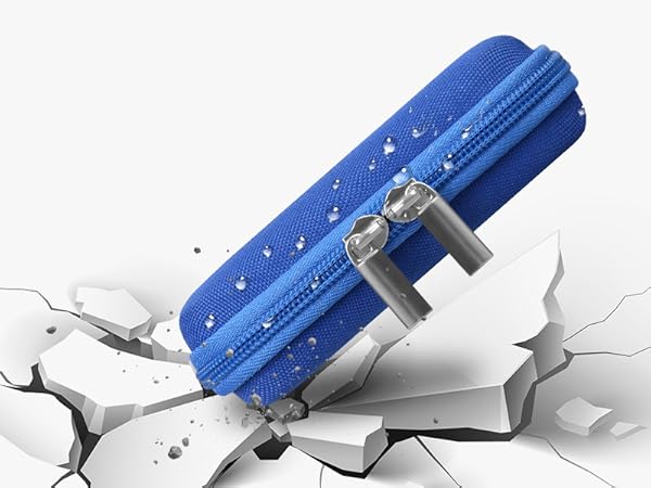 ssd carrying case