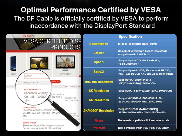 VESA Certified 16K DisplayPort Cable 2.1