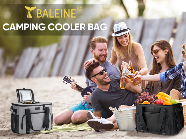 camping cooler bag