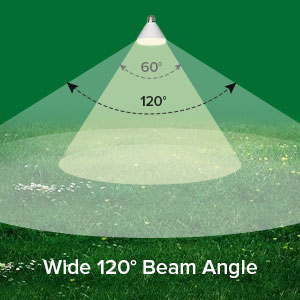 Wide Beam Angle