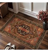 Ciicool Small Area Rug, 2x3ft Red Boho Rug, Ultra Soft Entry Rugs for Entryway, Non-Slip Washable...