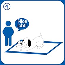 Training Pads for Pet