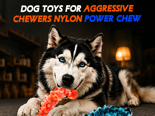 dog toys