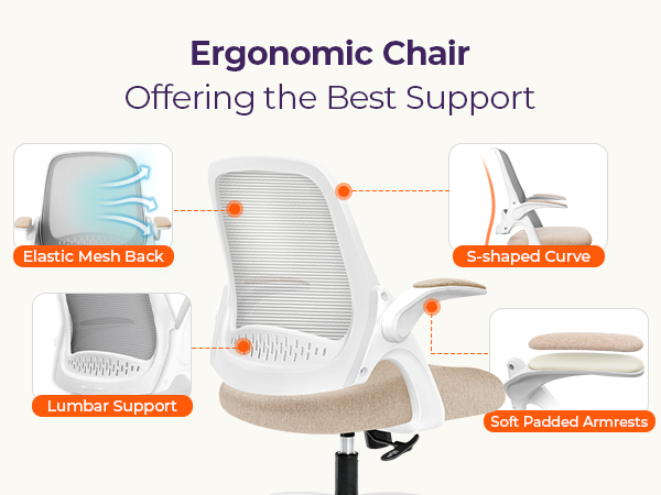 Ergonomic Chair with Comprehensive Support