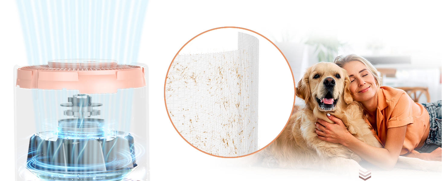 pet air purifiers for home pee smell