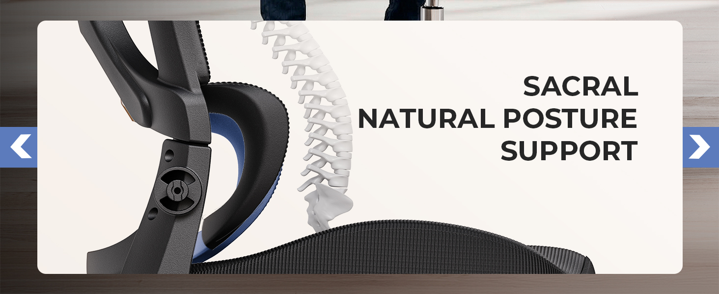 ergonomic office chair