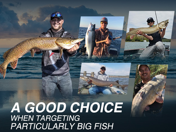 fishing baitcasting reel