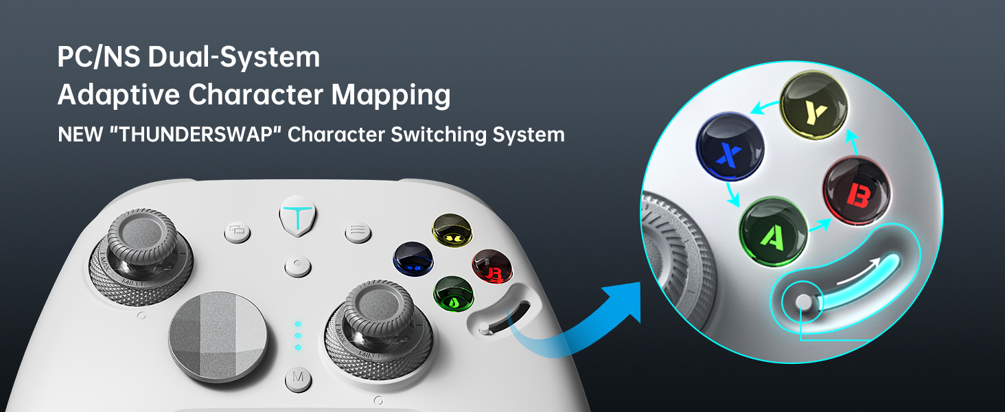 Thunderobot G80TS Wireless Controller for PC