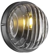 FEMILA 10" Round Bulkhead Outdoor Wall Light, Nautical Outdoor Lighting, Black Outdoor Light Fixt...