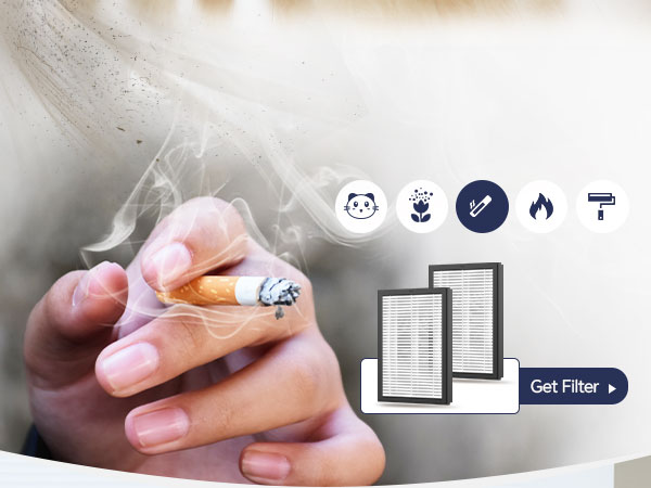 pet air purifiers for home pee smell