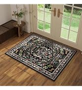 Entryway Rug 2x3 Rug Door Mat Indoor Entrance Washable Rug Small Non-Slip Low Pile Throw Rugs for...