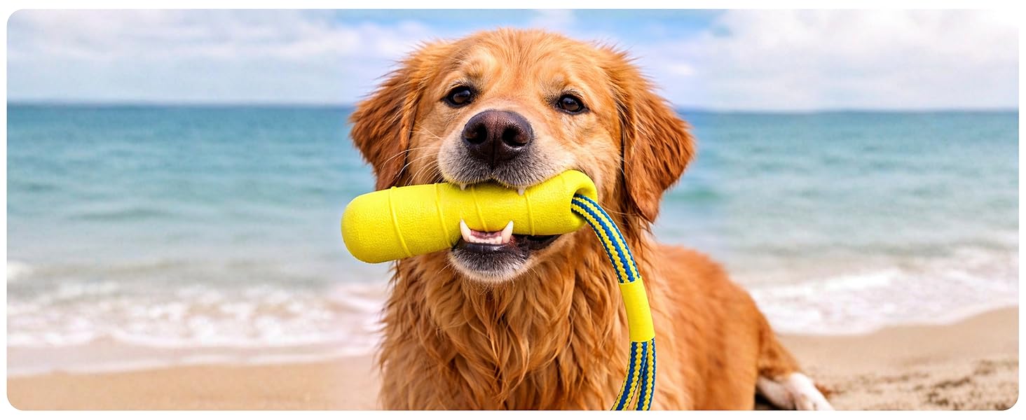 swimming pool &amp;amp; outdoor water toys fetch toys dog bumper toy floating target dog floats for pool