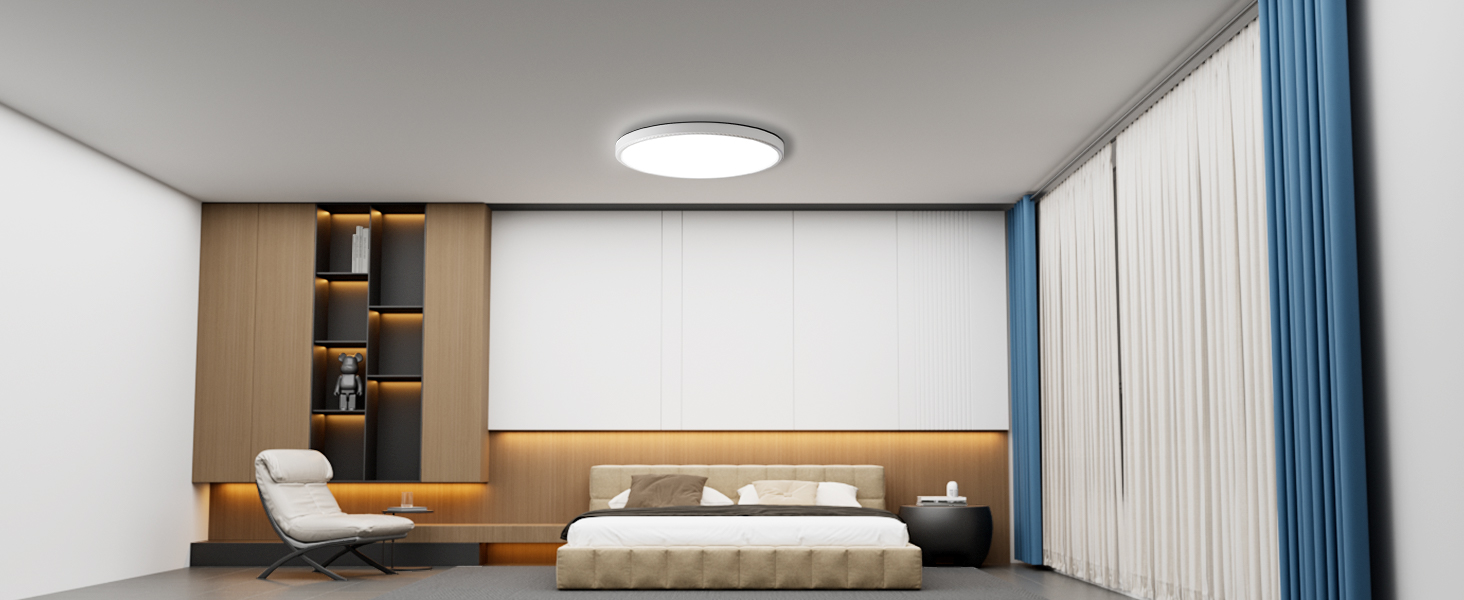 LED Ceiling Light
