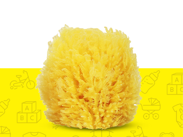 yellow sea sponge