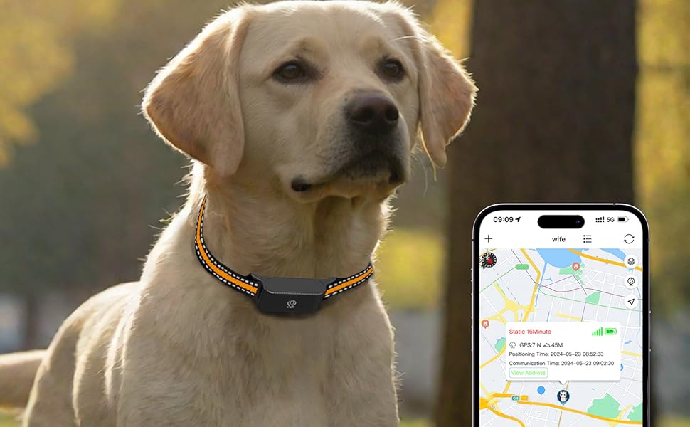 Dog GPS Tracker Real-Time Tracking Breakaway Collar