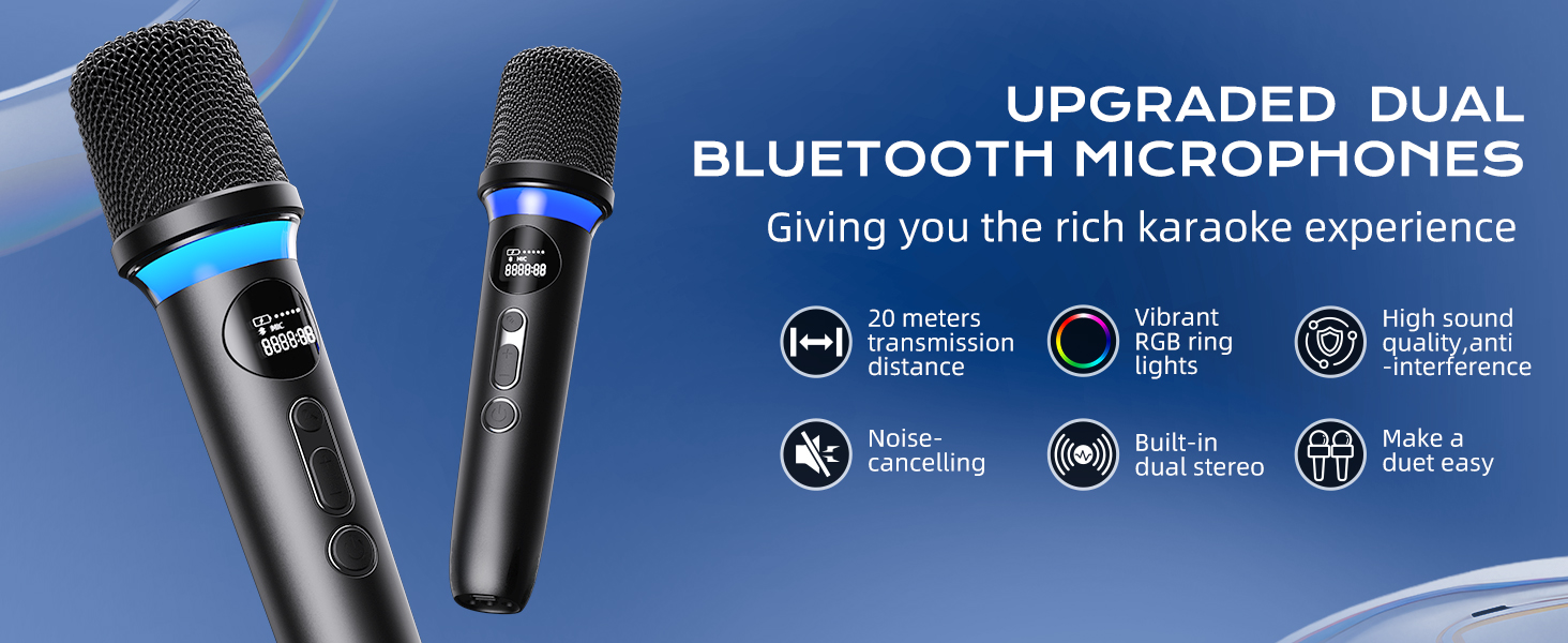 2 Wireless Microphones