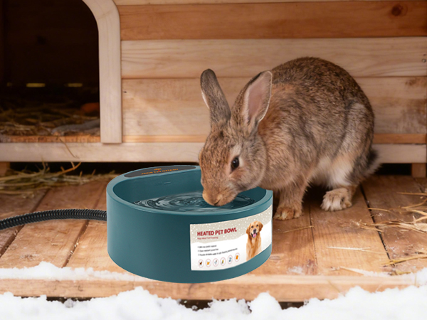 Rabbits Bowl
