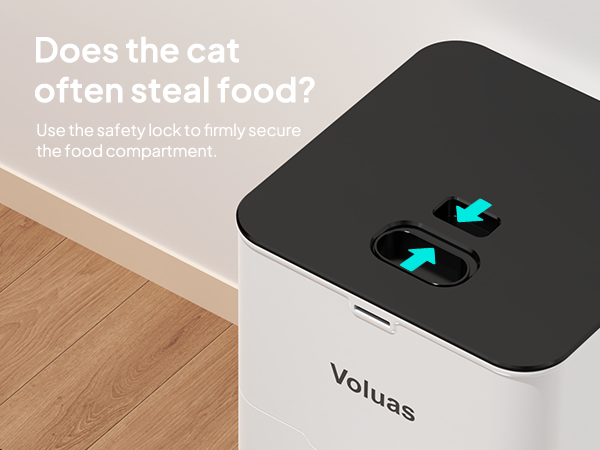 Automatic Cat Feeders
