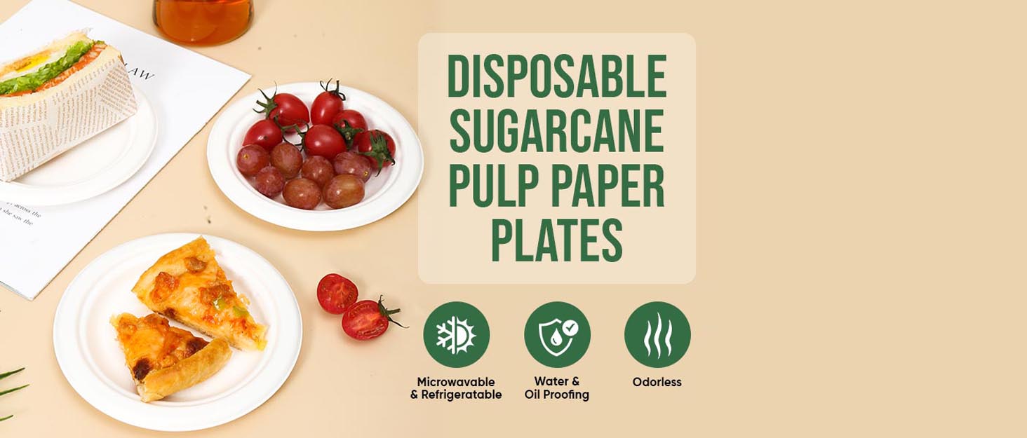 Paper Plates