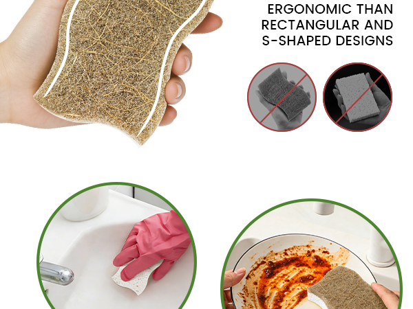 kitchen sponge