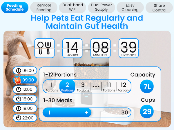 automatic cat feeders 2 cat