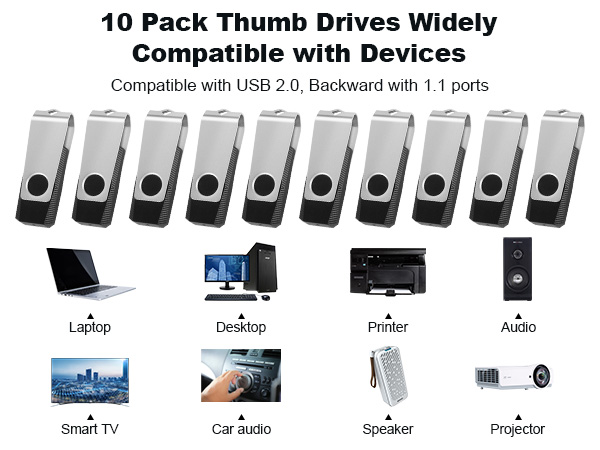 10 Pack Thumb Drives